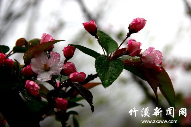 IMG_0150_副本