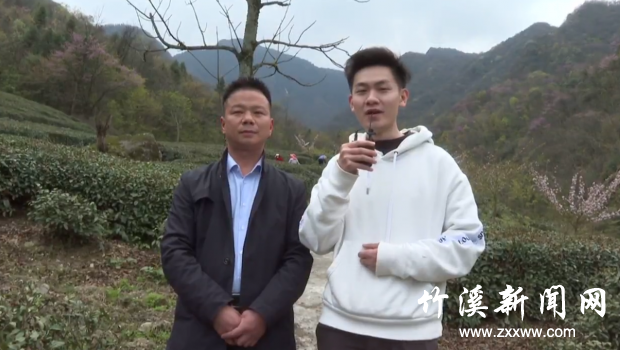 QQ截图20210409145122