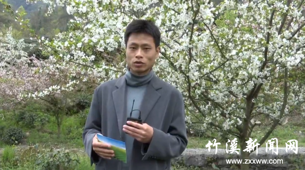 QQ截图20210409145517