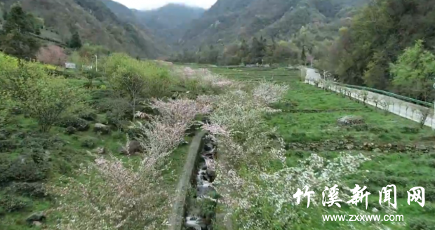 QQ截图20210409150031