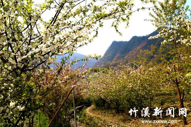 微信图片_20210410171925