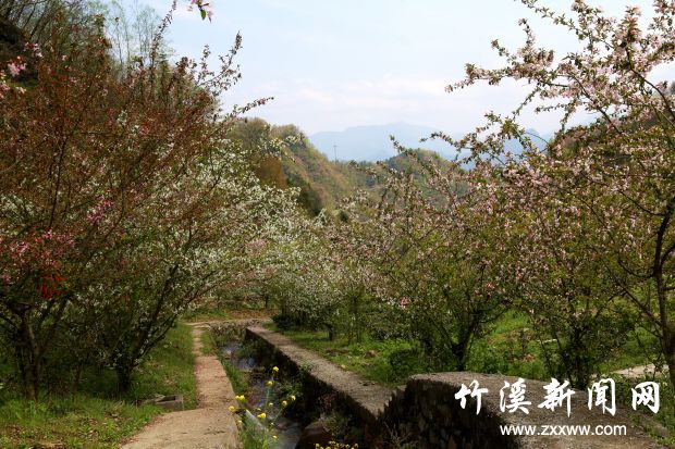 微信图片_20210410171938