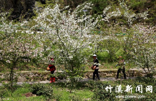 微信图片_20210410171957