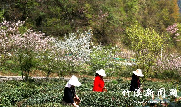 微信图片_20210410171953