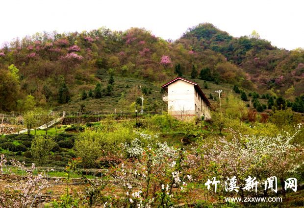 微信图片_20210410172033