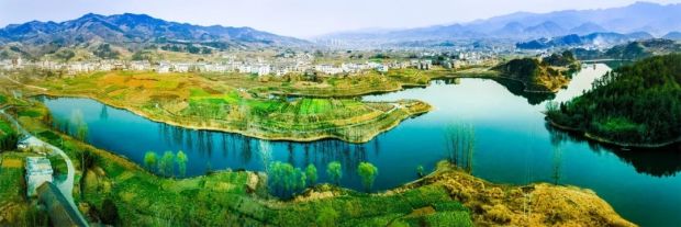 龙湖湿地公园.webp