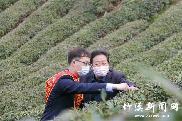 _MG_7847_副本