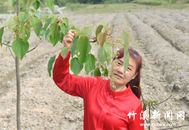 AAD_8296_WPS图片