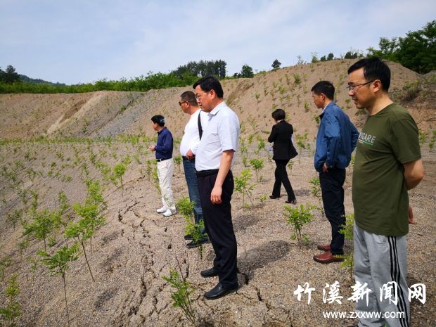 执法检查在金丰矿业检查尾矿治理情况