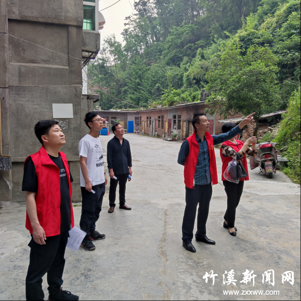图片3
