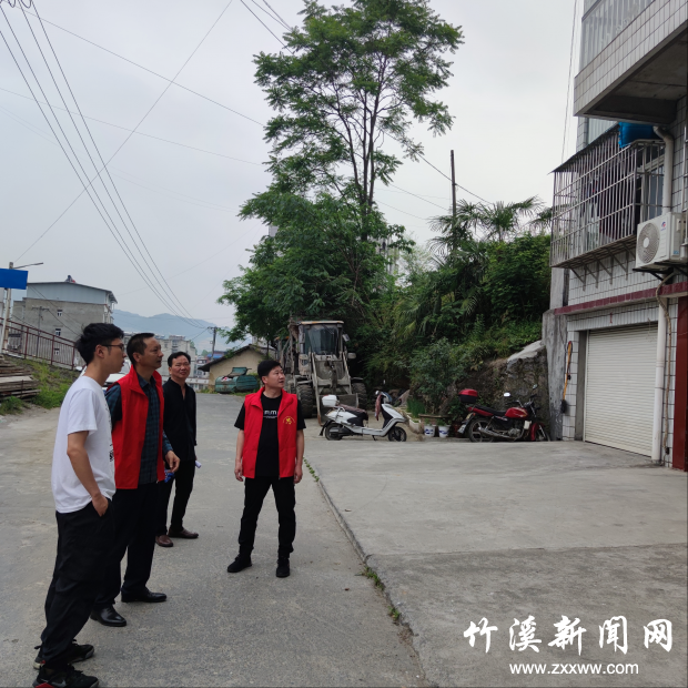图片4
