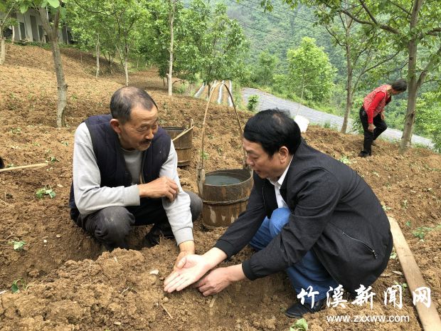 县烟草局驻村工作队指导烟农种植高山蔬菜