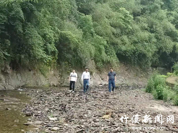 图片1