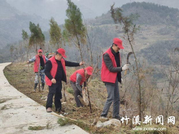 QQ图片20210420162514
