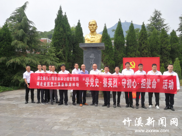 图片1