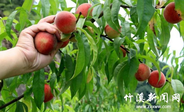 微信图片_20210609161616