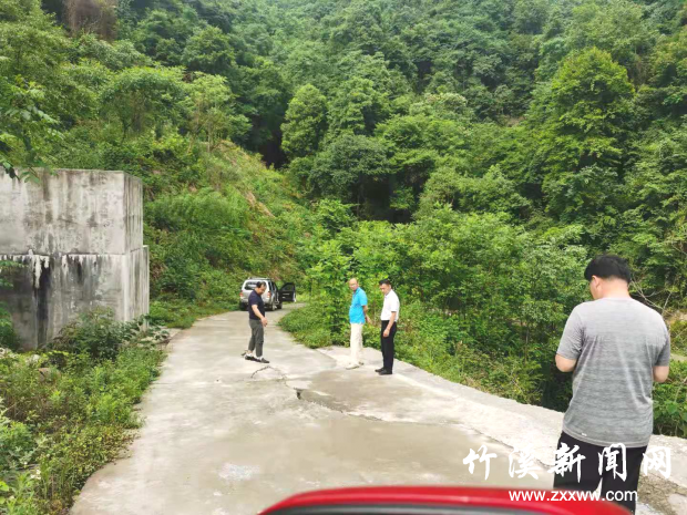 图片1