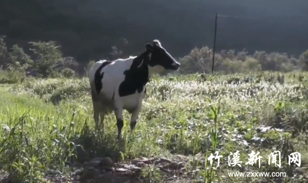QQ截图20210619153914