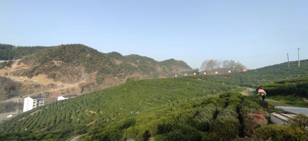 微信图片_20210623211142