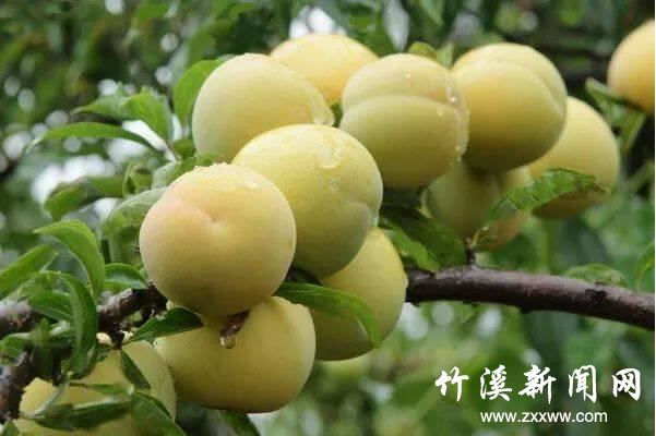 图片2