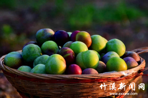 图片3