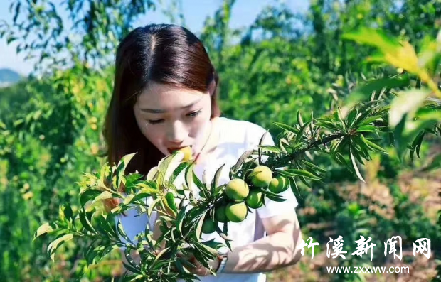 图片5