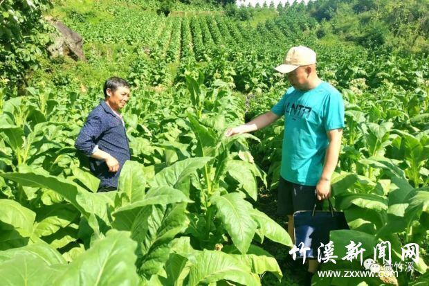 微信图片_20210705144043