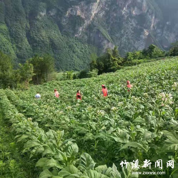 微信图片_20210709112612