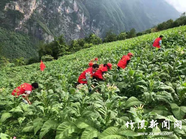 微信图片_20210709112608