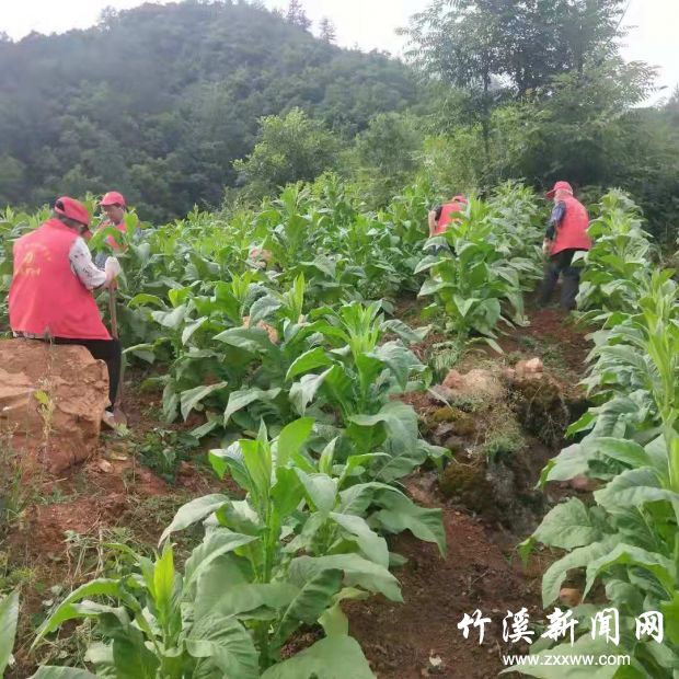 微信图片_20210709112616
