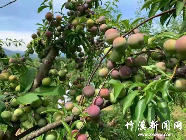 微信图片_20210712165223