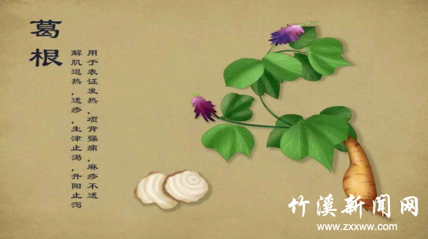 QQ截图20210715205928