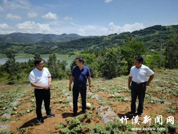 微信图片_20210723124146