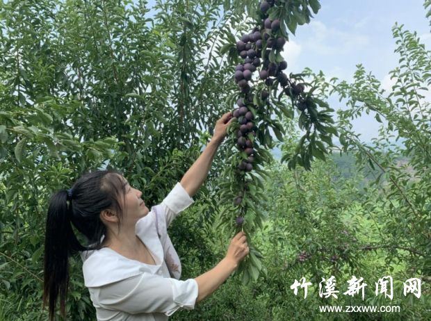 微信图片_20210809092118