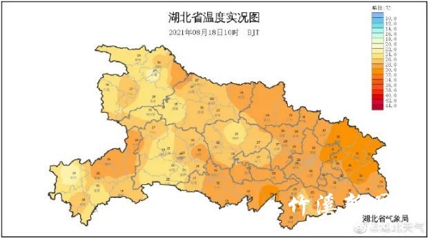 640.webp (4)