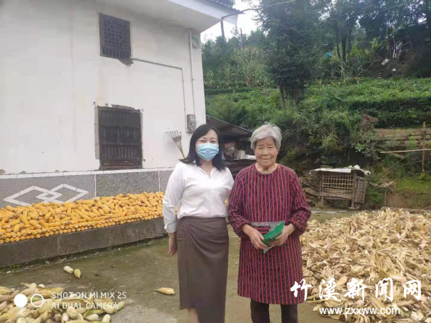 图片2