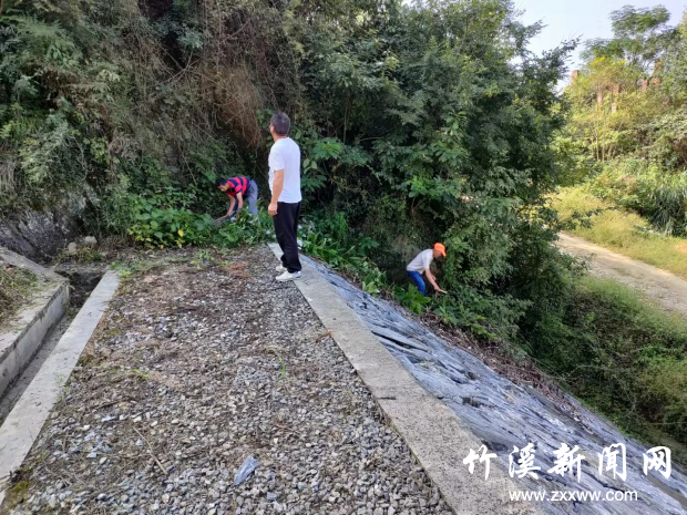 图片3
