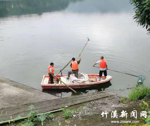 图片3