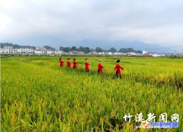 QQ截图20210926090317