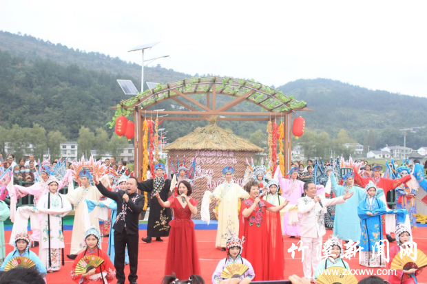 图片1