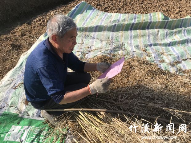 发放宣传单页