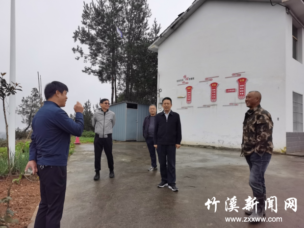 图片2