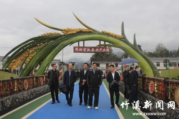 图片3