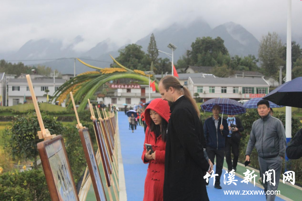 图片4