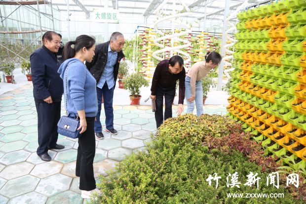 竹溪县检察院“爱党崇史·重阳敬老”活动户外踏青