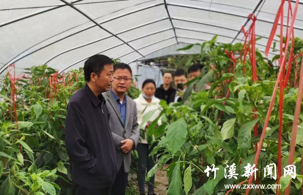 QQ图片20211015151347