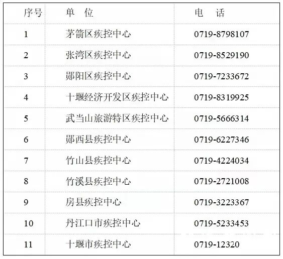 100.webp