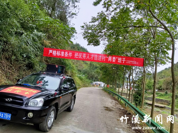 图片6