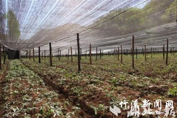 微信图片_20211025213035