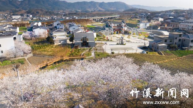 甘家岭2